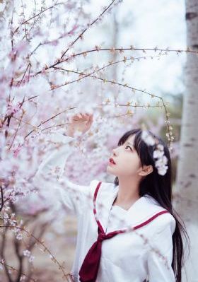 日本中文一二区有码在线观看_BD英语神马影院手机在线